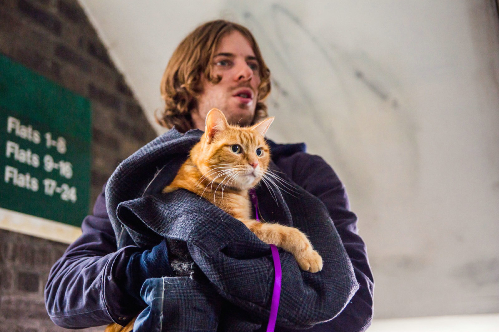 Un Chat Des Rues Nomme Bob Film A Street Cat Named Bob - [CINECURE]